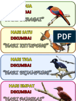 7 OMEN BIRDS.docx