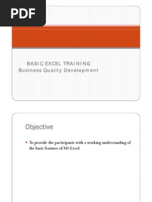 Basic Excel Training Module