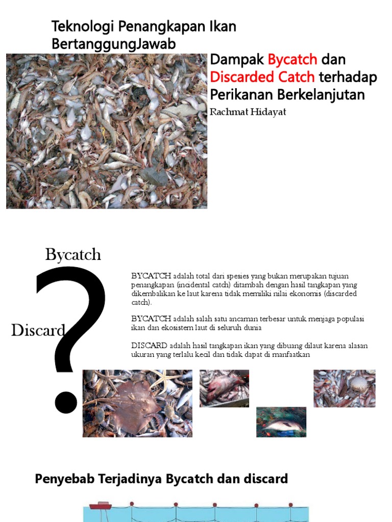 Bycatch and Discard | PDF