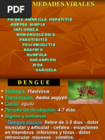 Download ENFERMEDADES VIRALES by hnnc SN4005362 doc pdf