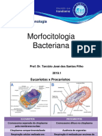 Aula 1 - Morfo-Citologia Bacteriana