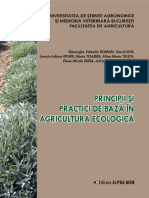 Principii Si Practici PDF