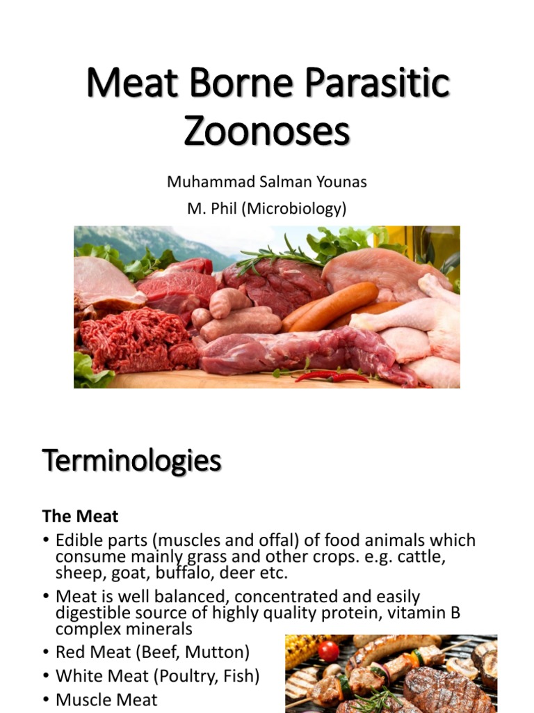 Meat Borne Zoonotic Diseases Overview | PDF | Diseases And Disorders ...