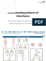Pattern of Inheritance