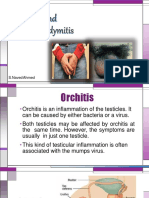Orchitis 160406115741