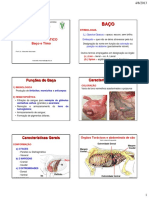 Anato 2 - Aula 6 - Sistema Linfático - Baço e Timo PDF