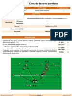Circuito Técnico Aeróbico