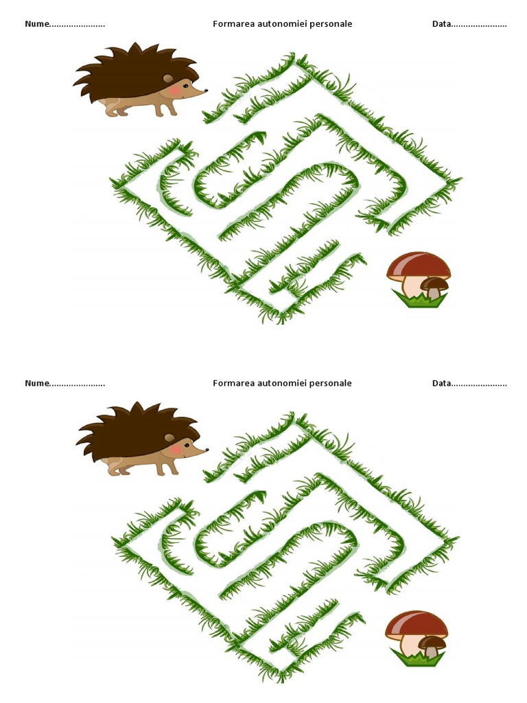 Labirint | PDF
