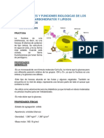 Funcion Biologica Carbohidratos Lipidos