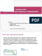 Castañeda-Ciclo de Vida Del Proyecto y Organización