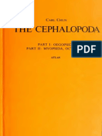 cephalopoda00chung.pdf