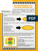 Reporte Diario SSO