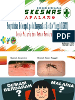 MALARIA.ppt