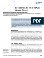 NGAL role in cardio-renal diseases