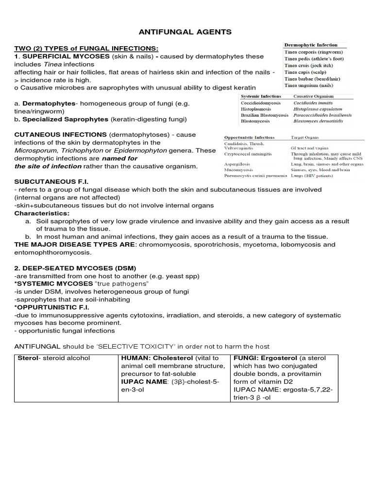 ANTIFUNGALS PDF Candidiasis Synthetic And Plastic