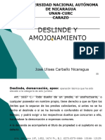 57851278-Juicio-de-Deslinde-y-Amojonamiento-23-Nicaragua.pdf