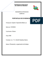 Formato Portafolio Planeacion PDF