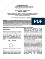 Informe Definitivo analsis organico