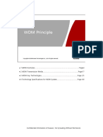  Wdm Principle Issue1