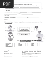 Estudo Do Meio Trimestral 3. Ano