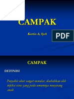 CAMPAK.pptx