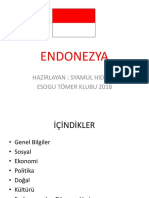 Endonezya