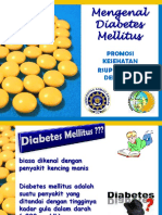 mengenaldiabetesmellitus-2-120326215119-phpapp01.pdf