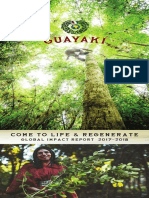 Guayaki Global Impact Report