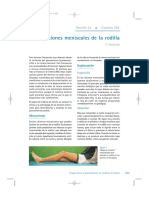 Lesiones Meniscales de Rodilla PDF