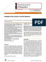 Anterior Cruciate Ligament Imaging