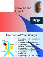 Know Your Kidney