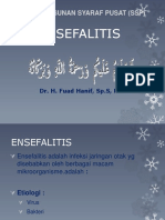 PPT Ensefalitis