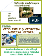 Probleme Le Si Protectia Mediului Natural