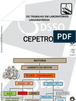 treinamento_seguranca_laboratorios.pdf