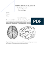 Phineas Gage Caso