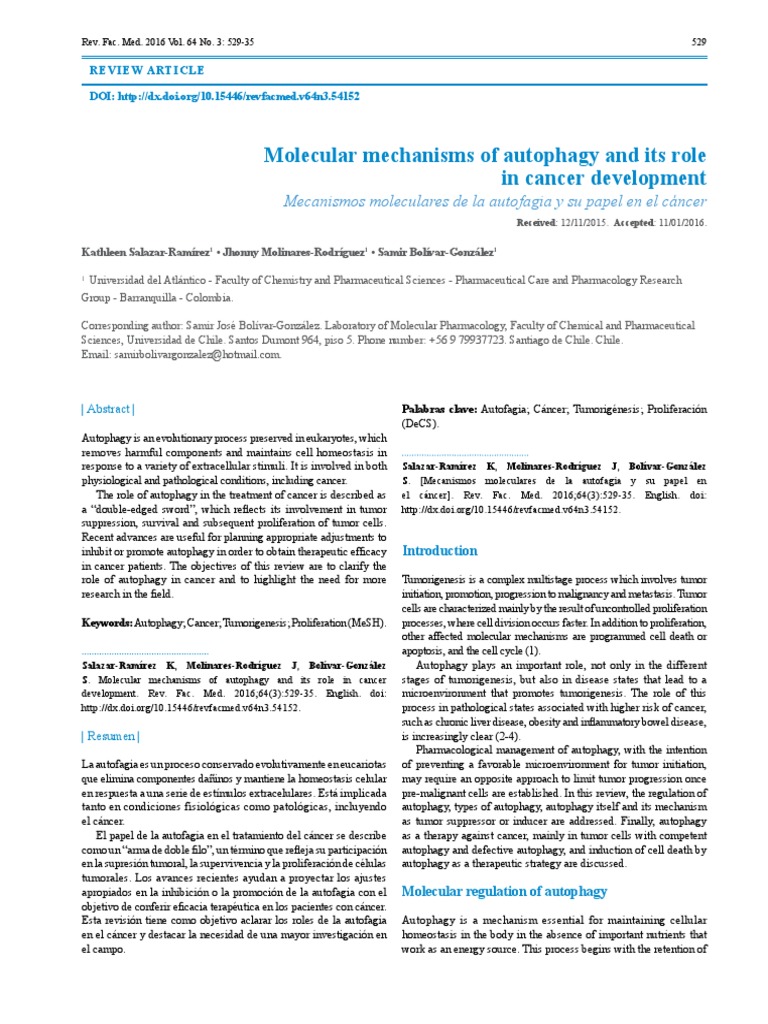 Autophagy's Role in Cancer Mechanisms | PDF | Autophagy | Chemotherapy
