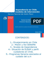 2011 01 12 Acta Ord 21 Adjunto PPT Cuidados Dependencia Chile RKornfeld SENAMA