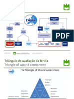 Avaliação Das Feridas