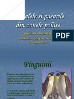 Proiect de Activitate Integrată - La Plimbare Cu Ursuletul Martinel