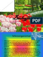 New Microsoft Office PowerPoint Presentation