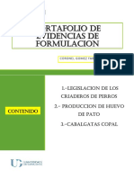 Portafolio-Evidencias - Formulacion-Coronel Gomez Fabiola PDF