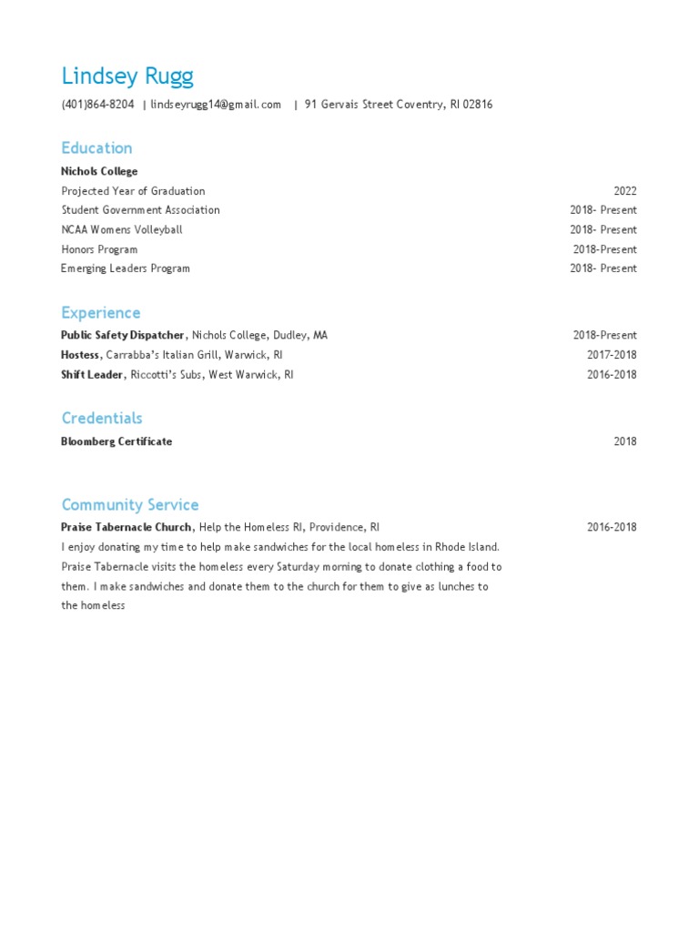 Professional Resume | PDF