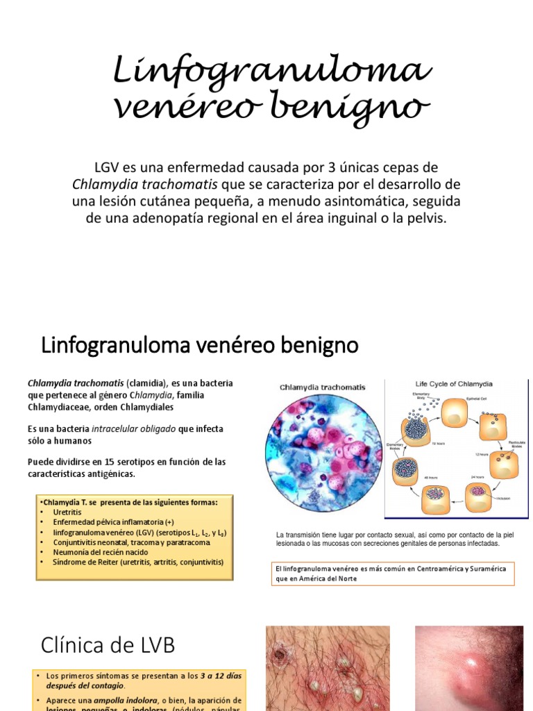 Tratamiento del linfogranuloma venéreo | PDF | Rtt | Enfermedades y ...