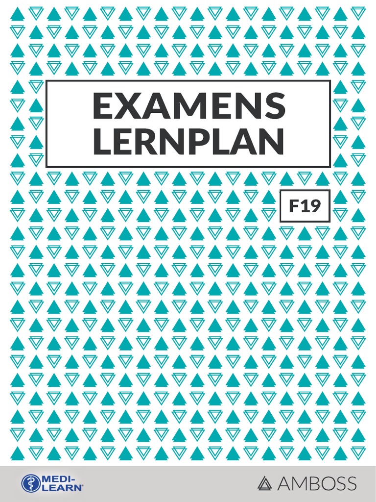 Lernplan Hammerexamen F19