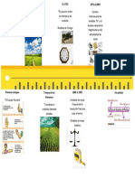 Linea Del Tiempo de Medidas