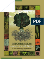 Mycorrhizas, Anatomy and Cell Biology - R. Peterson (NRC, 2004).pdf