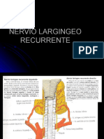 NERVIO LARINGEO RECURRENTE.ppt