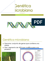 U5a GeneticaMicrobiana 20269
