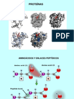 PRESENTACIÓN PROTEÍNAS.pdf