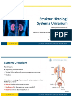 Struktur Histologi Systema Urinaria PDF